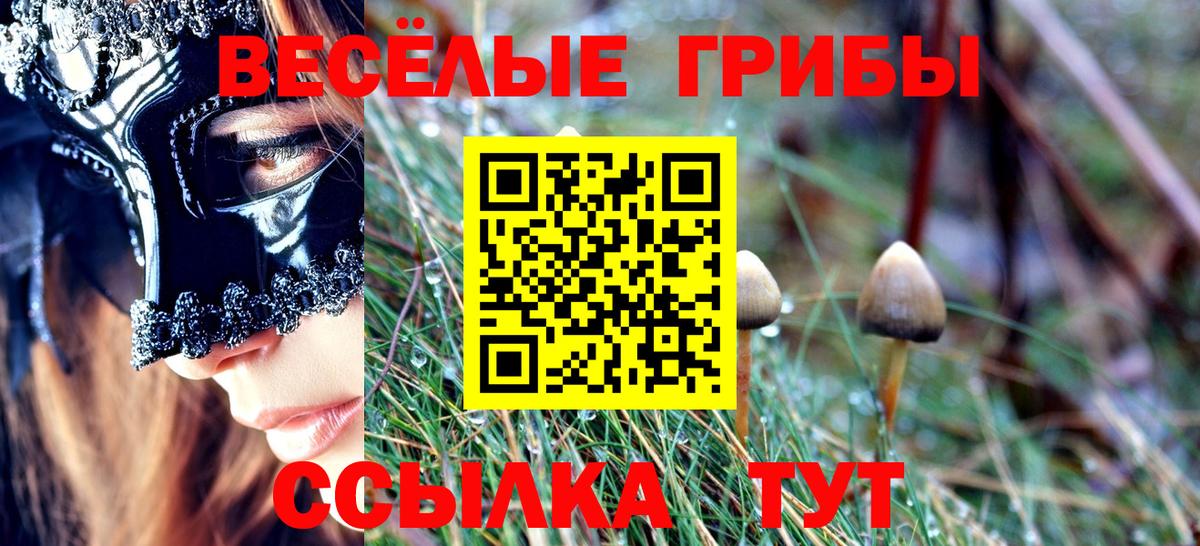Псилоцибиновые грибы Magic Shrooms Серов