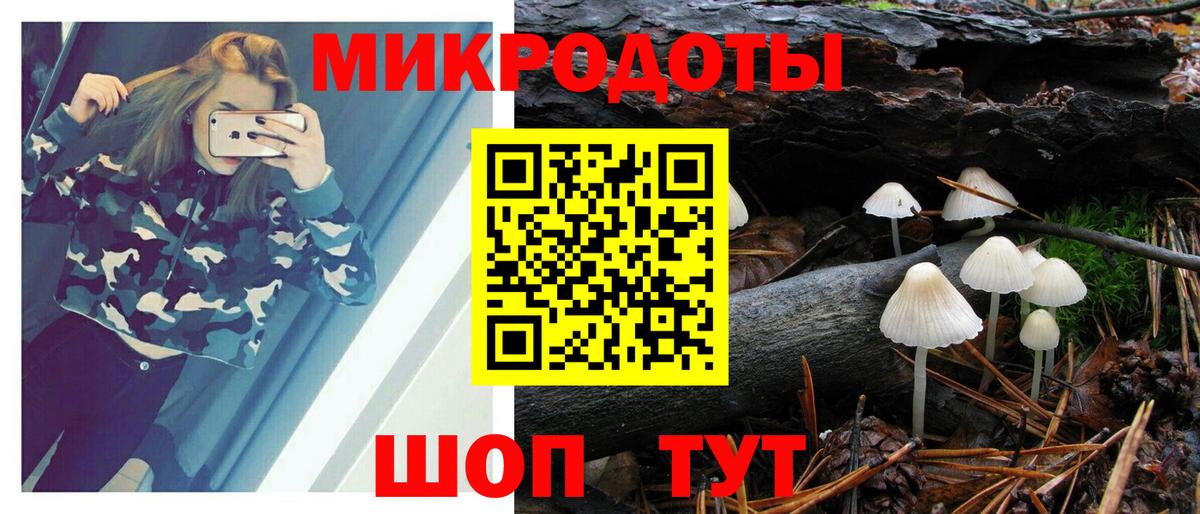 МЕФ Серов