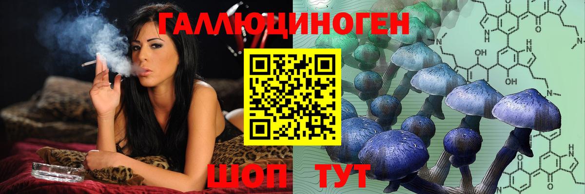 Псилоцибиновые грибы GOLDEN TEACHER  Вход с VPN  где купить наркоту  Серов  Галлюциногенные грибы Cubensis 